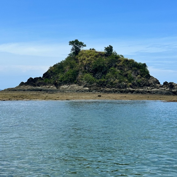 Meet your Posher, Chona - Picture 7 of 8